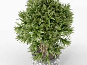 Plants collection 224 3D Model