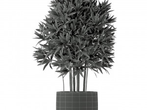 Plants collection 224 3D-Modell