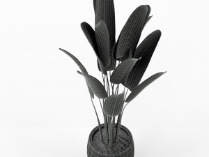 Plants collection 225 Modelo 3D