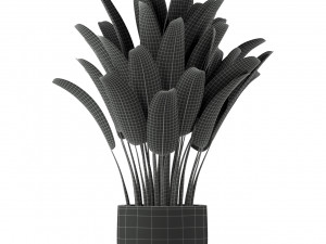 Plants collection 226 Model 3D