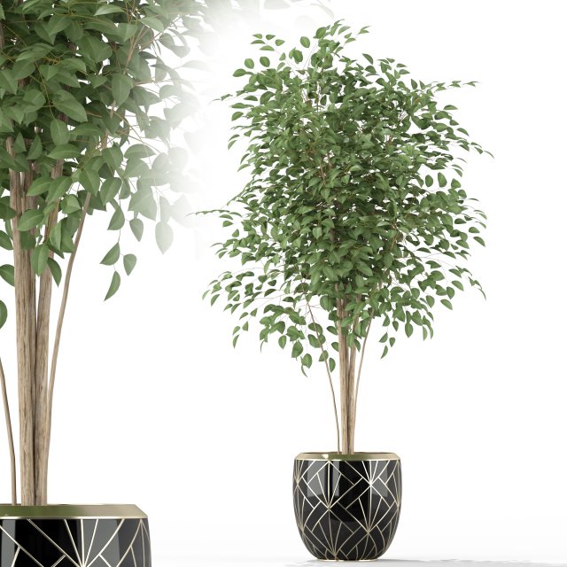 Plants collection 227 3D Модель .c4d .max .obj .3ds .fbx .stl .blend 