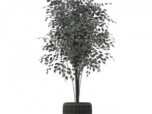 Коллекция растений 227 3D Модель