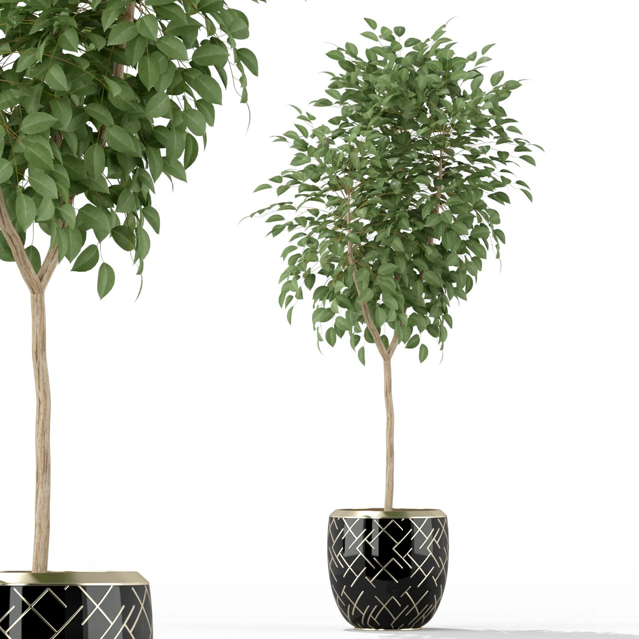 Plants collection 228 3D Model .c4d .max .obj .3ds .fbx .stl .blend 