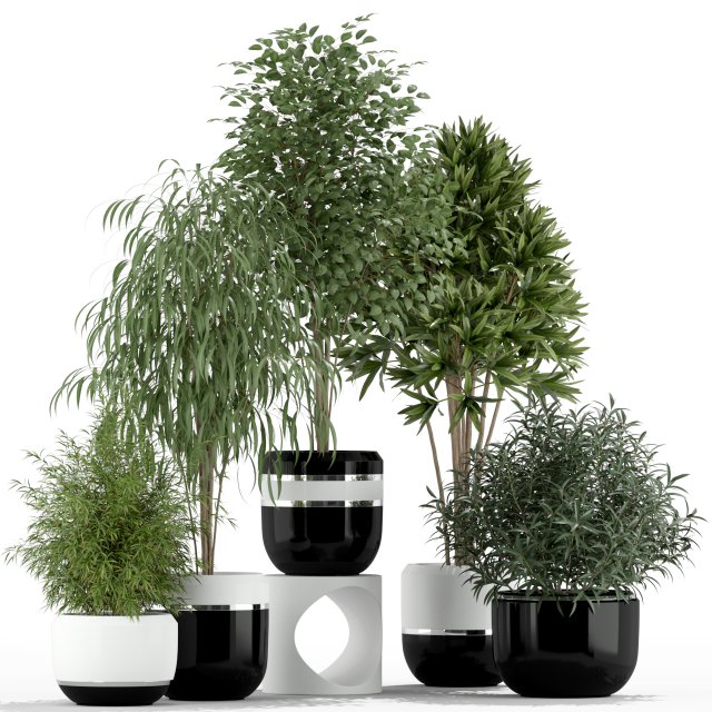Plants collection 230 3D 模型 .c4d .max .obj .3ds .fbx .stl .blend 