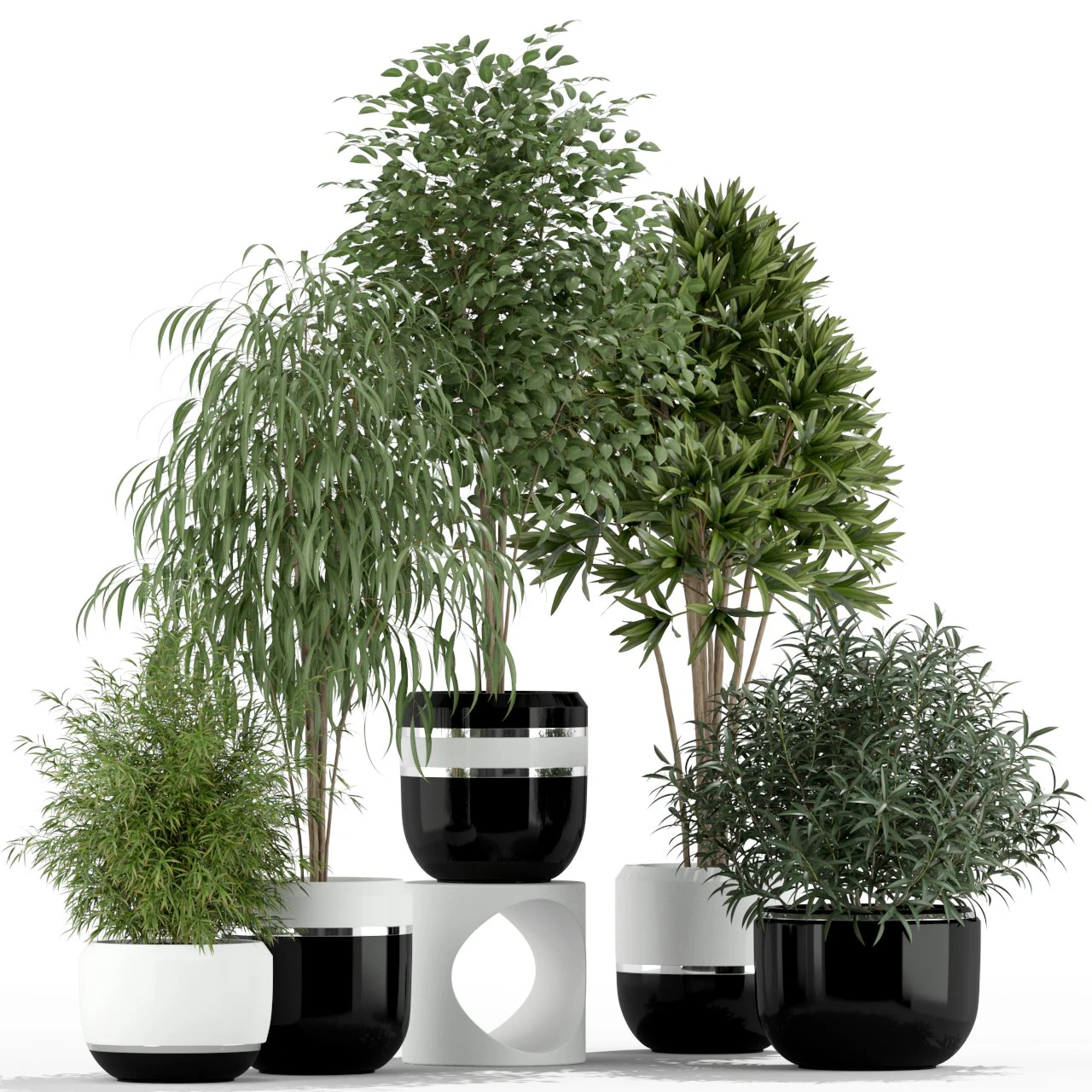 Plants collection 230 3D Model .c4d .max .obj .3ds .fbx .stl .blend 