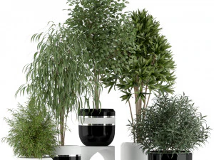 Cole&ccedil;&atilde;o de plantas 230 Modelo 3D