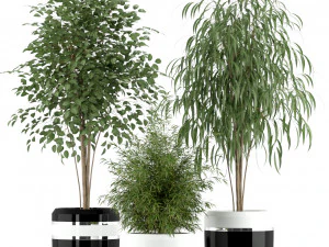 Plants collection 230 3D Model