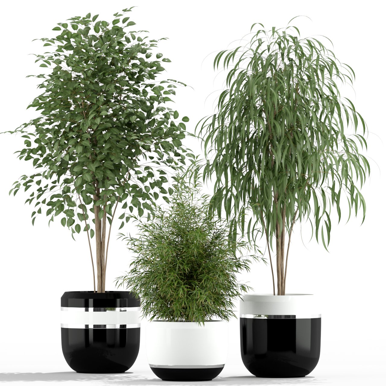 Plant modeling