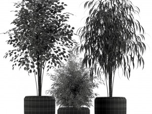 Plants collection 230 3D 模型
