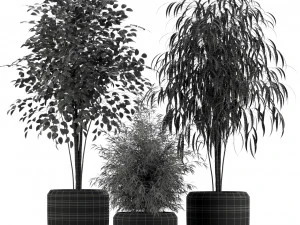 Plants collection 230 3D Model