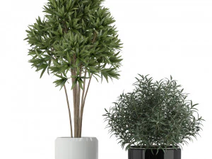 Plants collection 230 3D Model