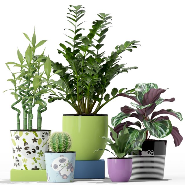 Plants collection 231 3D Model .c4d .max .obj .3ds .fbx .stl .blend 