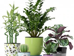 Plants collection 231 3D Model