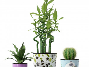 Plants collection 231 3D Model