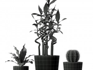 Plants collection 231 3D Model