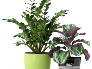 Plants collection 231 3D Model