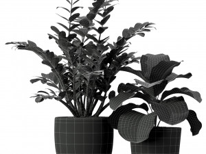 Plants collection 231 3D Model
