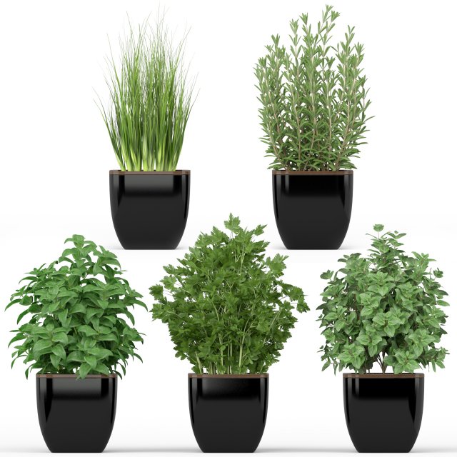 Plants collection 232 3D Modell .c4d .max .obj .3ds .fbx .stl .blend 