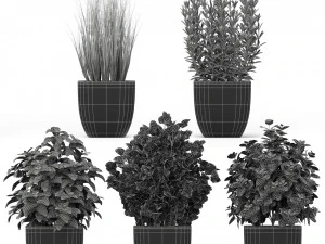 Plants collection 232 3D Model