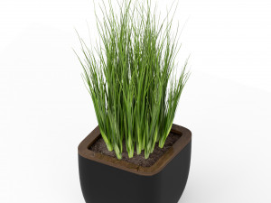 Plants collection 232 3D Modell