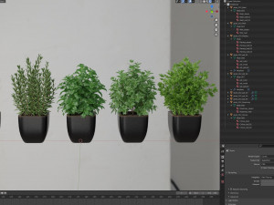 Plants collection 232 3D Modell