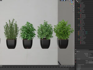 Plants collection 232 3D Model