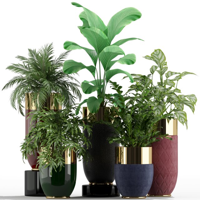 Plants collection 233 3D 모델 .c4d .max .obj .3ds .fbx .stl .blend 