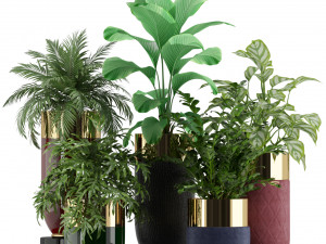 Plants collection 233 3D Model