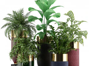 Коллекция растений 233 3D Модель