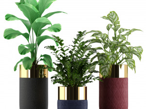 Plants collection 233 3D 모델