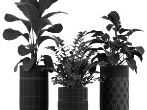 Plants collection 233 3D 모델