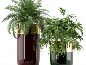 Plants collection 233 3D 모델