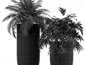 Plants collection 233 3D 모델