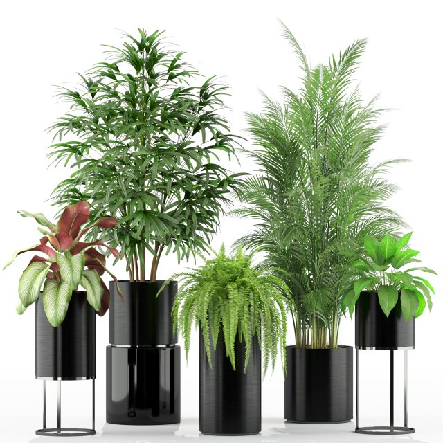 Plants collection 234 3D 모델 .c4d .max .obj .3ds .fbx .stl .blend