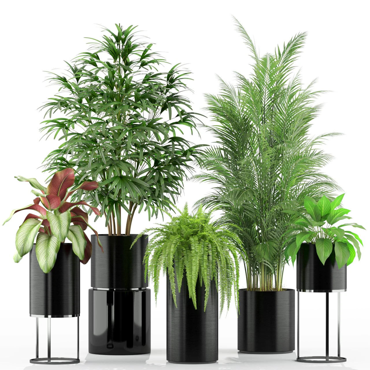 Plants collection 234 3D Model .c4d .max .obj .3ds .fbx .stl .blend