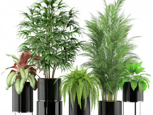 Коллекция растений 234 3D Модель