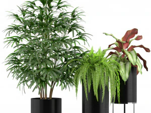 Plants collection 234 3D Model