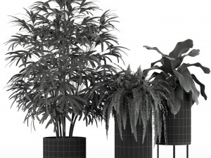 Plants collection 234 3D 모델