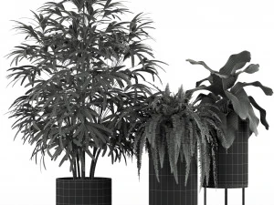 Plants collection 234 3D Model