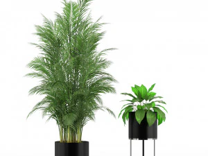 Plants collection 234 3D Model