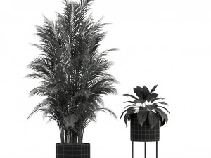 Plants collection 234 3D Model