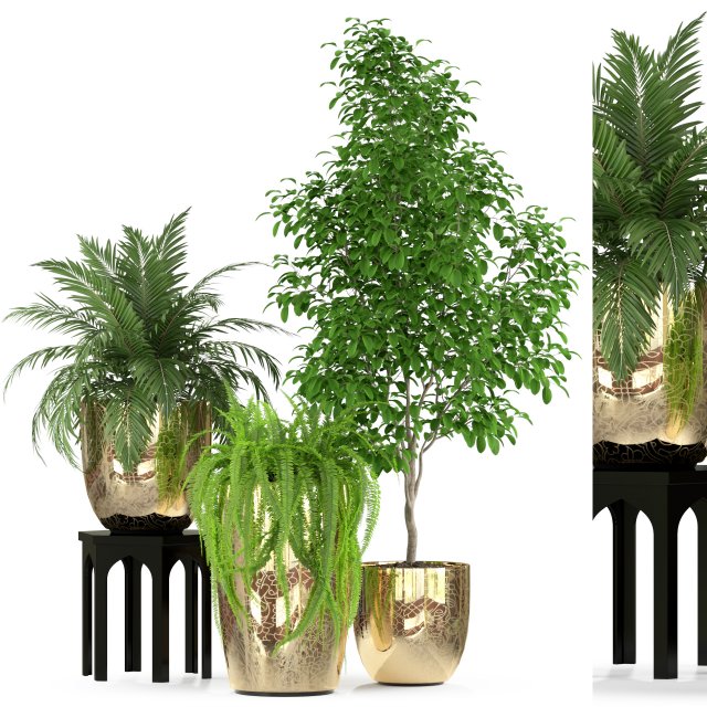 Plants collection 235 3D Модель .c4d .max .obj .3ds .fbx .stl .blend