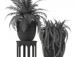 Plants collection 235 3D Модель