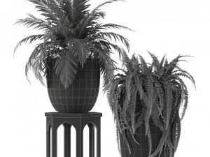Plants collection 235 3D Model
