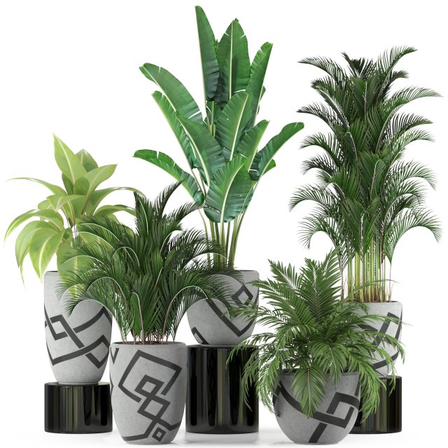 Plants collection 236 3D 模型 .c4d .max .obj .3ds .fbx .stl .blend