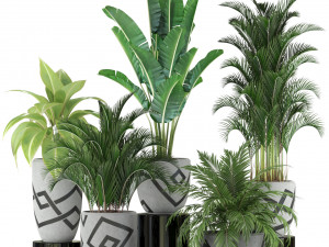 Plants collection 236 3D Model