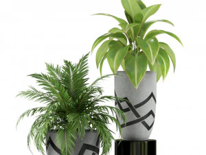 Plants collection 236 3D Model