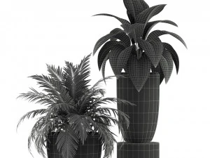 Plants collection 236 3D Model