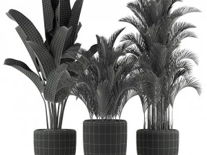 Plants collection 236 3D Model