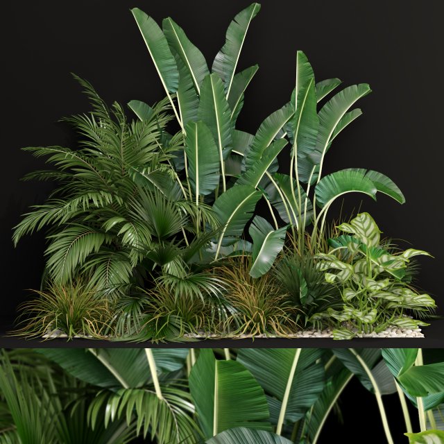 Plants collection 237 Modelo 3D .c4d .max .obj .3ds .fbx .stl .blend 